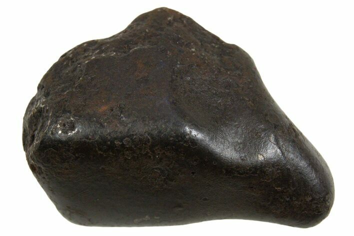 Fusion Crusted Sikhote-Alin Iron Meteorite ( g) - Russia #334624